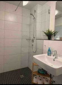 uma casa de banho com um chuveiro e um lavatório. em Ferienwohnung Emperors Baths - Cozy Modern Studio Apartments em Trier