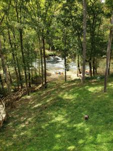 a group of people laying on the grass near a river at Stay at Rivermist Dahlonega in Dahlonega