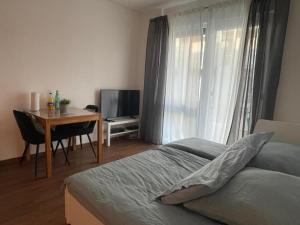 a bedroom with a bed and a desk and a television at Ferienwohnung Emperors Baths - Cozy Modern Studio Apartments in Trier