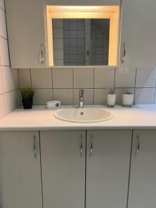 eine Badezimmertheke mit einem Waschbecken und einem Spiegel in der Unterkunft Lille Vedelsborg in Vejle