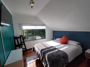 sypialnia z łóżkiem z niebieskimi ścianami i oknem w obiekcie Hostal Casa Lhotse w mieście Viña del Mar