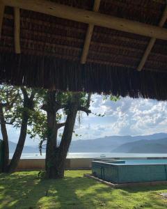 uma cabana de palha com uma árvore e o oceano em BEIRA MAR - PRAIA Do LÁZARO em Ubatuba