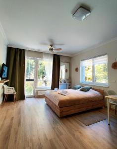 a bedroom with a large bed and two windows at Apartment GRUN WALD Marianske Lazne in Mariánské Lázně