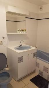 mała łazienka z toaletą i umywalką w obiekcie Superbe Studio au Crotoy accès direct plage w mieście Le Crotoy +17 zdjęć