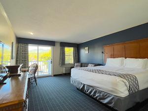 博爾穆霍斯的住宿－The Lodge at Jackson Village，酒店客房设有一张大床和一张书桌。