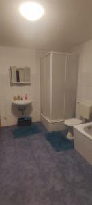 een badkamer met een toilet en een wastafel bij Siegen Achenbach 4 in Siegen