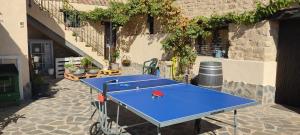 una mesa de ping pong azul en un patio en Inma Enea en Armañanzas