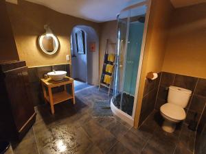 ein Bad mit einem WC, einem Waschbecken und einer Dusche in der Unterkunft Très belle maison chaleureuse au coeur de Mirepoix in Mirepoix