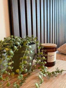 a plant in a pot next to a jar of honey at Moderne leilighet midt i sentrum av Fredrikstad in Fredrikstad