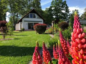 a garden with red flowers in front of a house at Ferienhaus direkt an der Spree mit Whirlpool und Sauna in Berlin