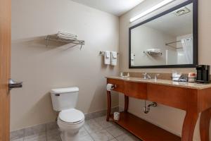 Koupelna v ubytování Quality Inn Redgranite