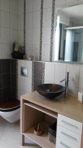 a bathroom with a sink and a toilet at Carnetin Le Parc, Gite et B&B in Thorigny-sur-Marne