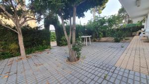 Fotografia z galérie ubytovania Casa la Pineda Salou, playa y Port Aventura v destinácii Salou