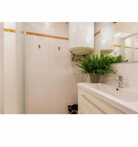 W łazience znajduje się prysznic, umywalka i lustro. w obiekcie Location F1 neuf centre historique Riom (63) - Puy-de-Dôme, Auvergne w mieście Riom