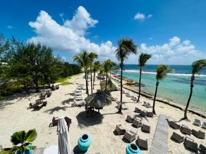 une plage avec des chaises et des palmiers et l'océan dans l'établissement GRAND TI-BOU Gwada breizh, à Saint-François