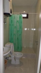 a bathroom with a toilet and a green shower curtain at Laura in Sukhum