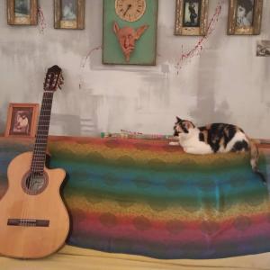 a cat laying on a rainbow blanket next to a guitar at Habitaciones en casa encantada para viajeros in Gualeguaychú