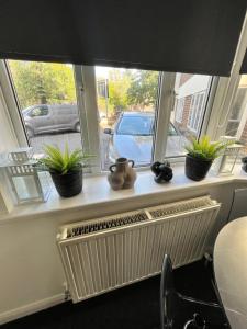 a window sill with three potted plants and a radiator at Castle Court Apartment in London