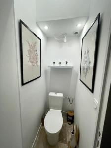 een badkamer met een toilet en twee foto's aan de muur bij Un cocon en plein coeur de Marseille in Marseille