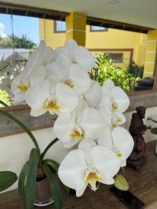 Fotografie z fotogalerie ubytování Pousada da Chica v destinaci Paraty