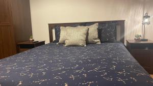 Posteľ alebo postele v izbe v ubytovaní Luxury furnished apartment, near the center Gallery 55