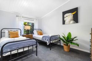 a bedroom with two beds and a plant in it at Tamborine Palms Farmhouse in Tamborine