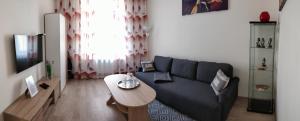 Televízia a/alebo spoločenská miestnosť v ubytovaní CENTRAL Marienbad Apartaments
