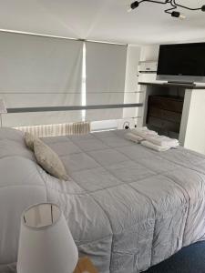 1 dormitorio con 1 cama grande y TV de pantalla plana en FREIRE SUITES con cochera en Buenos Aires