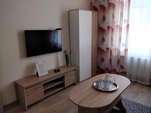 Televízia a/alebo spoločenská miestnosť v ubytovaní CENTRAL Marienbad Apartaments