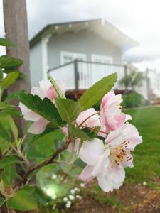 Dangerfield Oaks Boutique Cottage's外面的花园