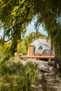 a dome tent sitting on top of a table under a tree at Domos Uspallata in Uspallata