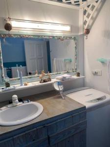 uma casa de banho com um lavatório e um espelho grande em Cabarete Beachfront Condos Nanny Estate A3 em Cabarete