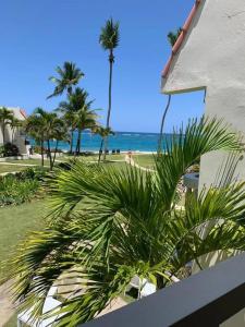 - une vue sur une plage bordée de palmiers et un bâtiment dans l'établissement Cabarete Beachfront Condos Nanny Estate A7, à Cabarete