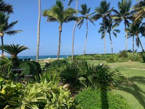 vista sulla spiaggia e sulle palme di Cabarete Beachfront Condos Nanny Estate A7 a Cabarete