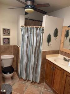 La salle de bains est pourvue d'un rideau de douche et de toilettes. dans l'établissement Cabarete Beachfront Condos Nanny Estate A7, à Cabarete