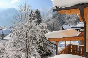 Das Prinzis during the winter