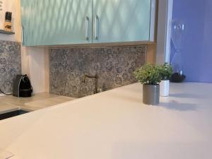 a kitchen with a counter with a potted plant on it at 38 Maison entière,place de parking et garage pour moto velo in Dunkerque