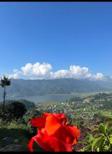 a red flower sitting on top of a hill with a lake at Into The Wild Pokhara in Kāskī