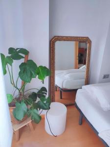 a bedroom with a mirror and a potted plant at céntrico Apartamento Elai, Netflix, Coffee, posibilidad parking in San Sebastián