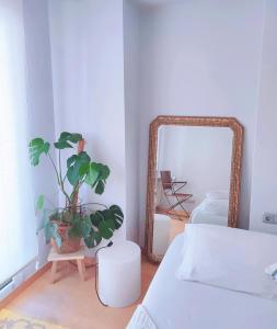 a bedroom with a mirror and a potted plant at céntrico Apartamento Elai, Netflix, Coffee, posibilidad parking in San Sebastián