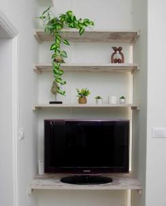 een tv in een woonkamer met planken en een plant bij La Rosa in Ermoupoli