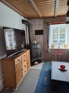 a kitchen with a stove and a tv in a room at Landhaus Eifel in Demerath