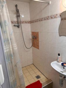La salle de bains est pourvue d'une douche et d'un lavabo. dans l'établissement Apartmán u vleku, 