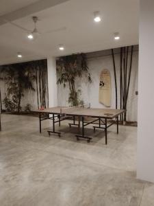 Borðtennisaðstaða á drivethru Hostel Polhena eða í nágrenninu