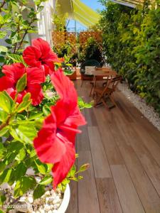a patio with red flowers on a wooden floor at Le casette in Monopoli