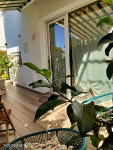 a plant sitting on a patio with a window at Le casette in Monopoli