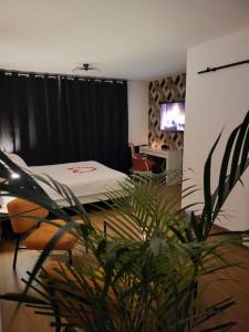 a bedroom with a bed and a potted plant at Cosy Corner - Appartement spa - Jacuzzi in Marsannay-la-Côte