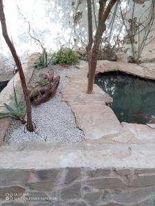 a garden with a pond and trees and rocks at Despertar in Antequera