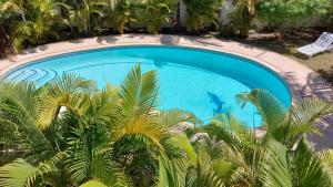 an overhead view of a blue swimming pool with palm trees at Tropical Palms apartment Mauritius in Pointe aux Canonniers