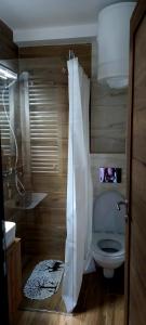 ein Badezimmer mit Toilette, Waschbecken und Dusche in der Unterkunft Cobanica Borovi Divcibare in Divčibare